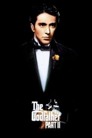WATCH THE GODFATHER: PART II ONLINE FREE